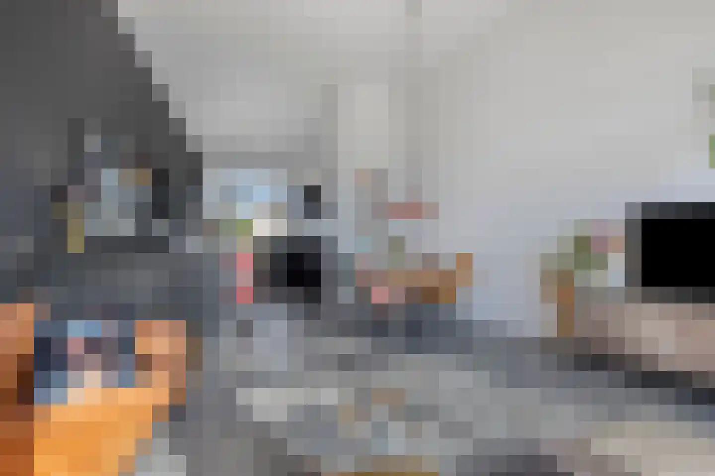 Johannes Vermeersingel 37 Rijnsburg thumbnail 16