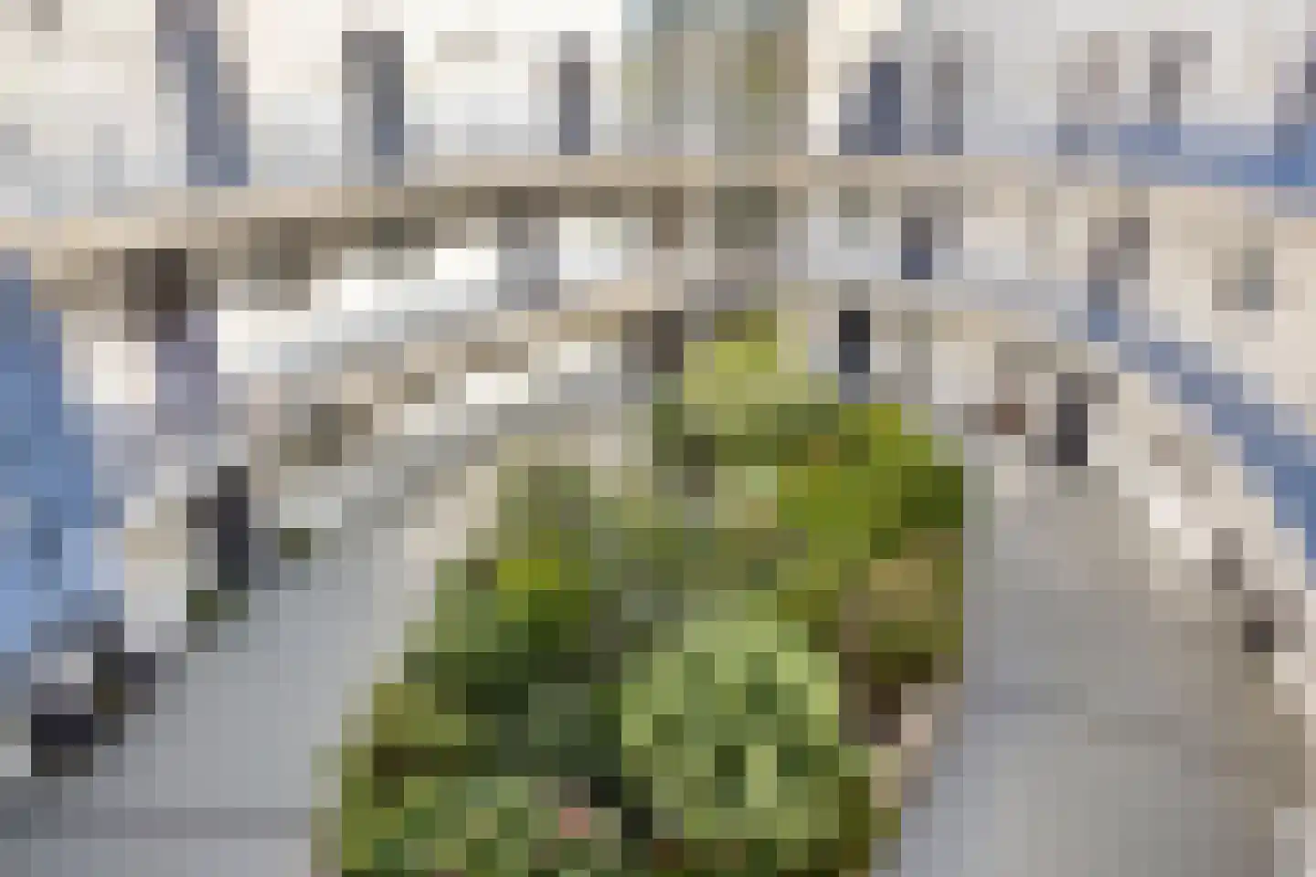 Johannes Vermeersingel 37 Rijnsburg thumbnail 8