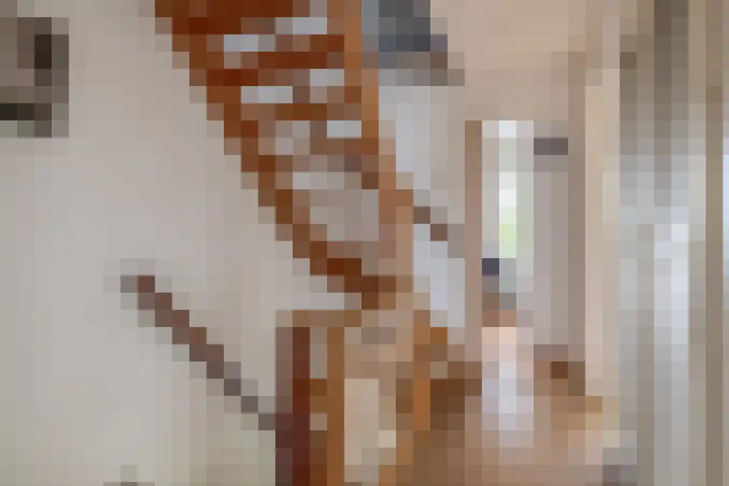 Johannes Vermeerstraat 1 Ridderkerk thumbnail 25