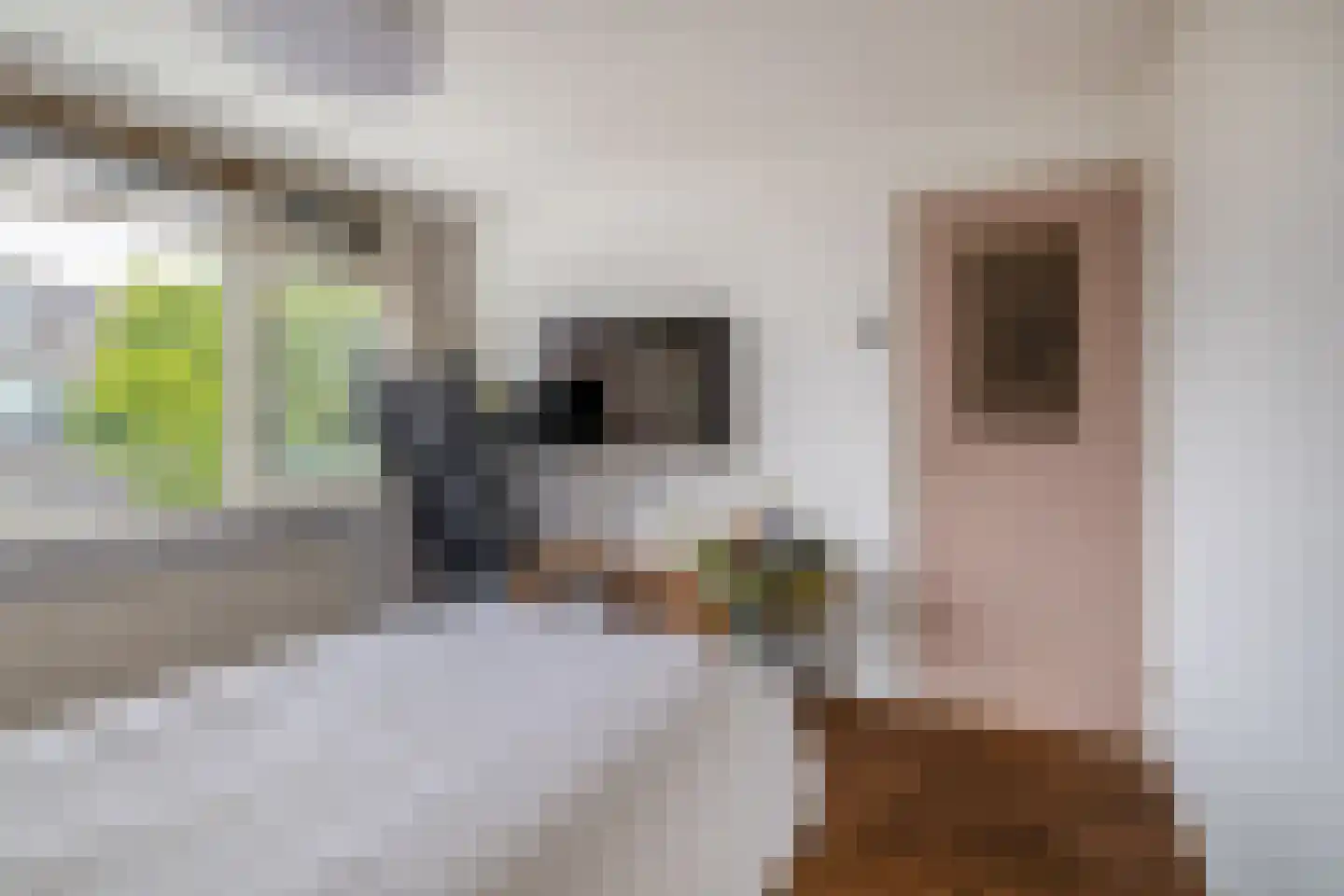 Johannes Vermeerstraat 1 Ridderkerk thumbnail 27