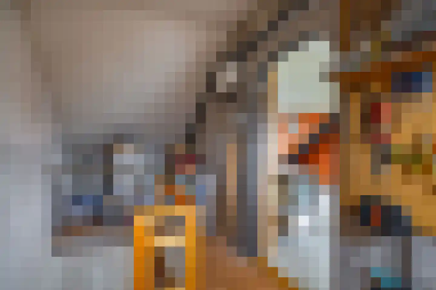 Johannes Vermeerstraat 1 Ridderkerk thumbnail 34