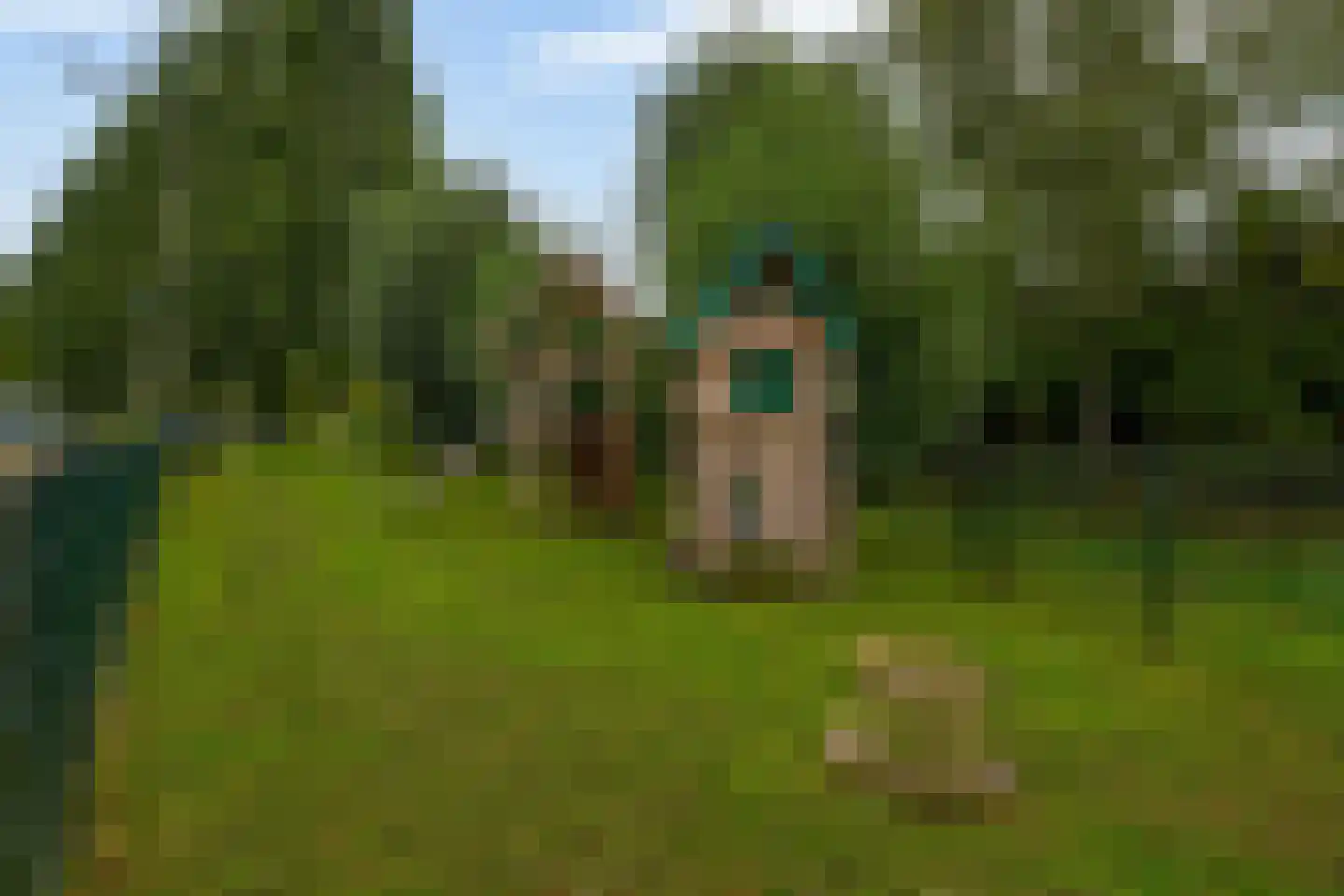 Johannes Vermeerstraat 1 Ridderkerk thumbnail 45