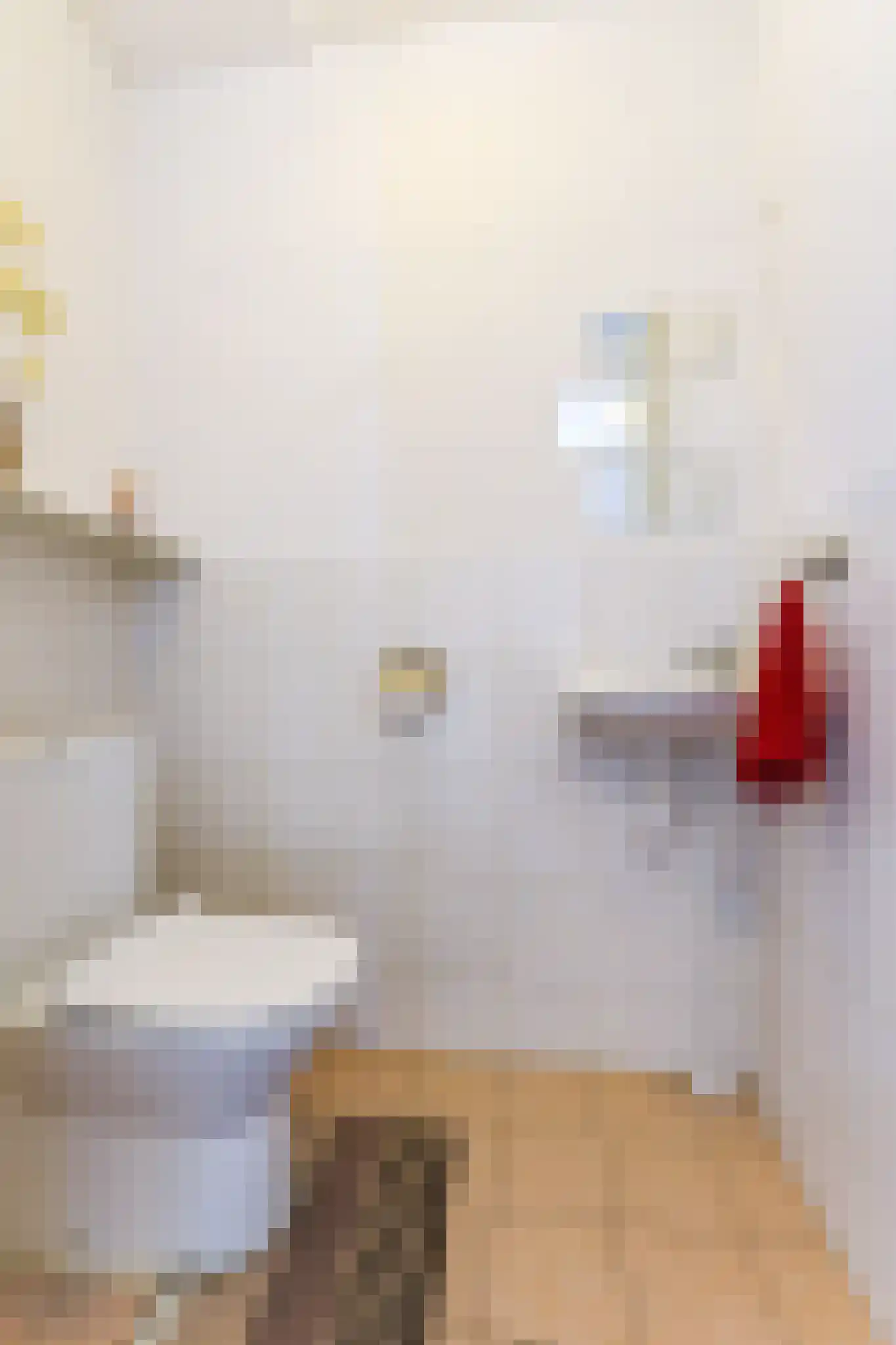 Johannes Vermeerstraat 10 Hoogezand thumbnail 31