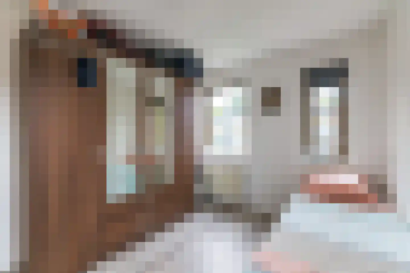 Johannes Vermeerstraat 10 Hoogezand thumbnail 37