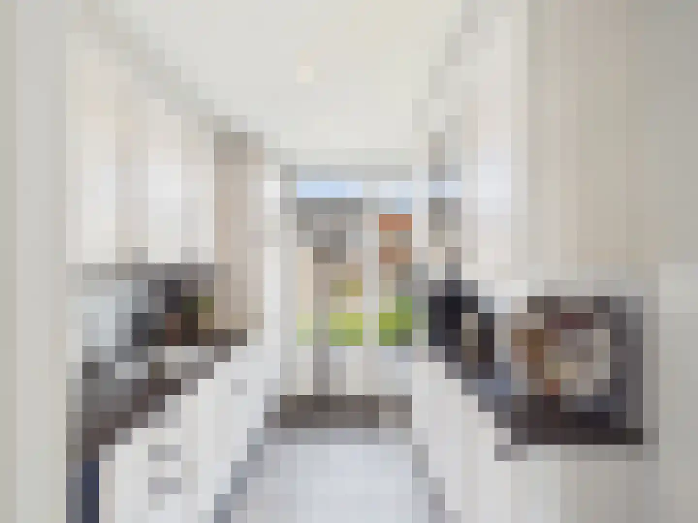 Johannes Vermeerstraat 10 Terneuzen thumbnail 11