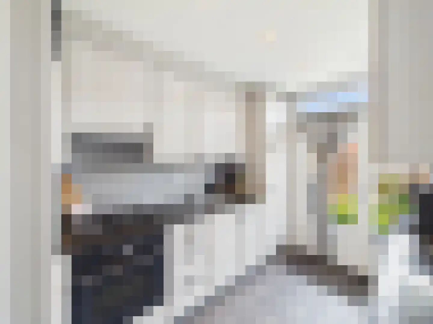 Johannes Vermeerstraat 10 Terneuzen thumbnail 12