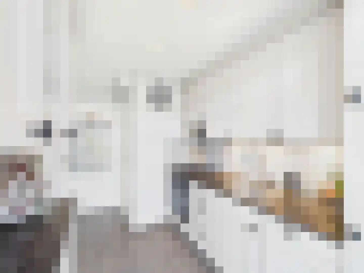 Johannes Vermeerstraat 10 Terneuzen thumbnail 15