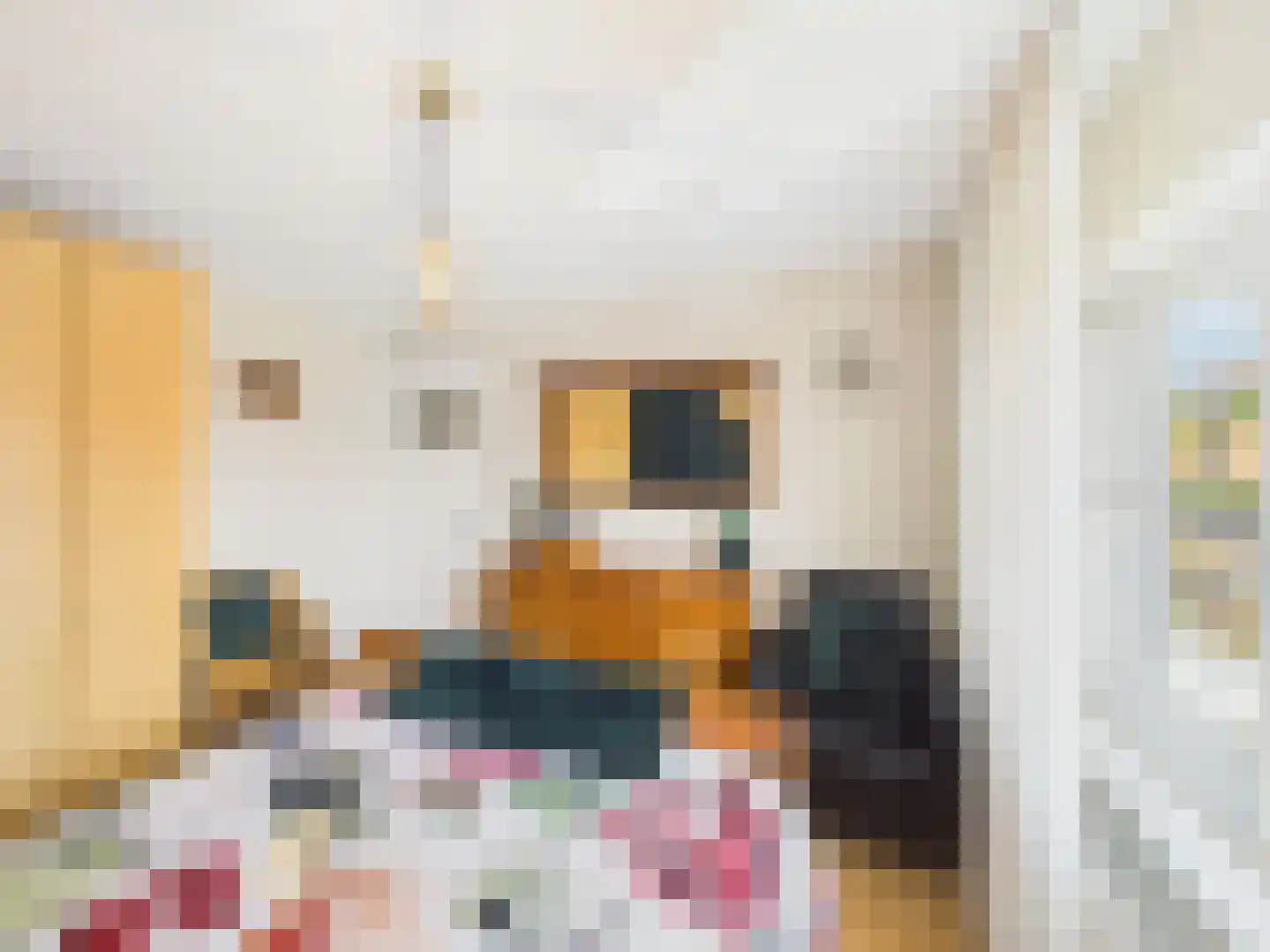Johannes Vermeerstraat 10 Terneuzen thumbnail 21