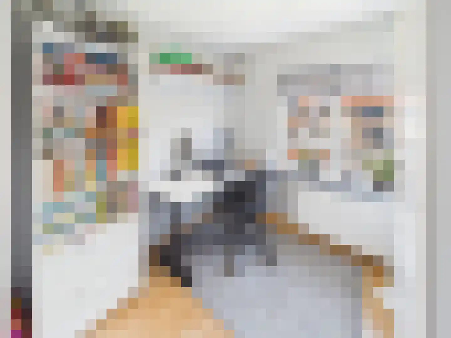 Johannes Vermeerstraat 10 Terneuzen thumbnail 25