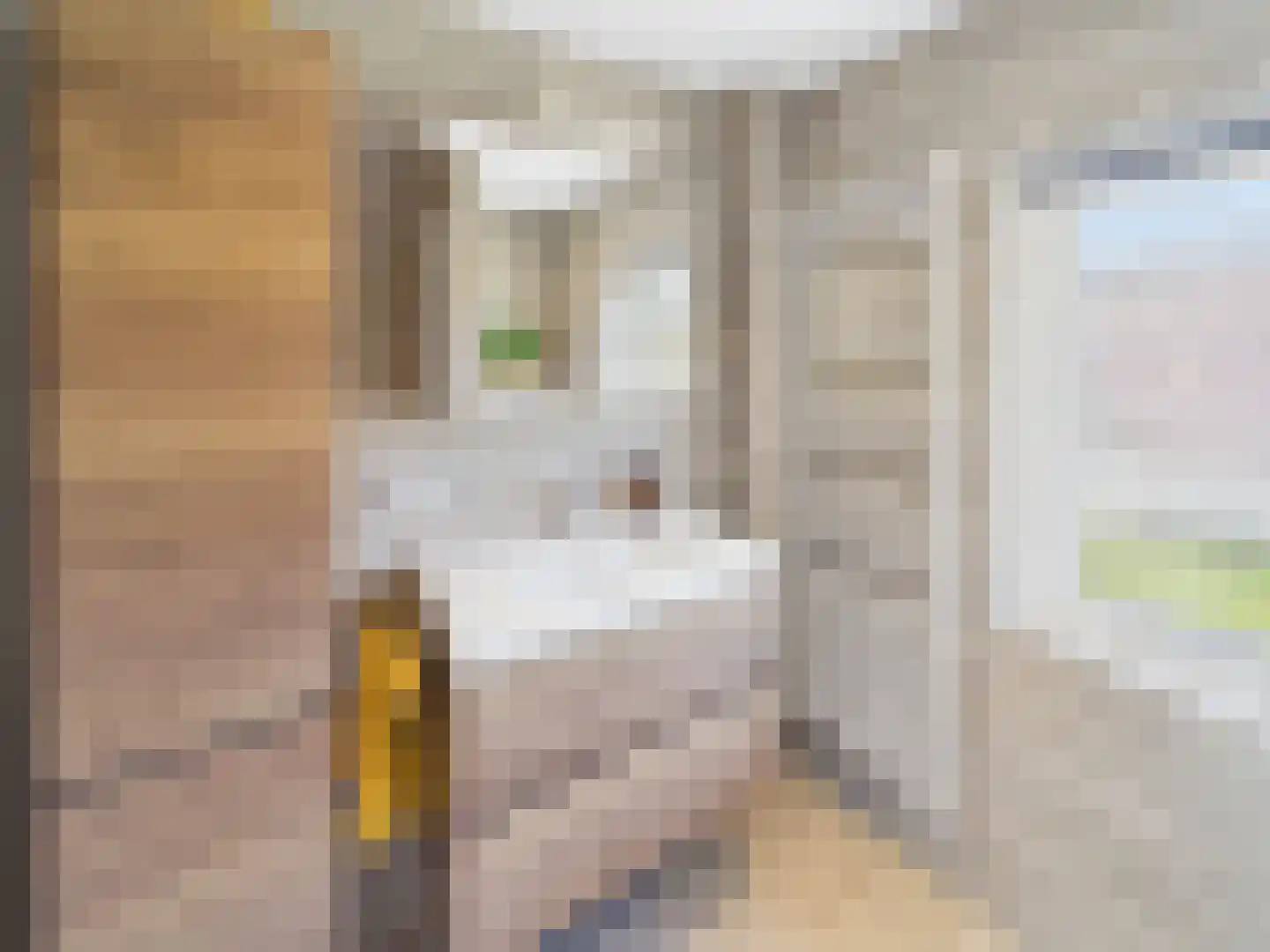 Johannes Vermeerstraat 10 Terneuzen thumbnail 28