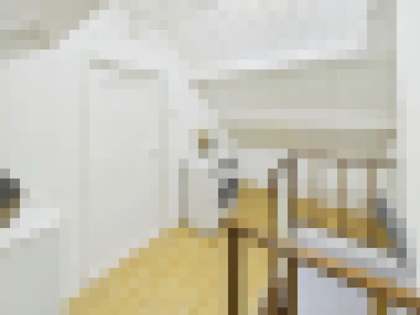 Johannes Vermeerstraat 10 Terneuzen thumbnail 30