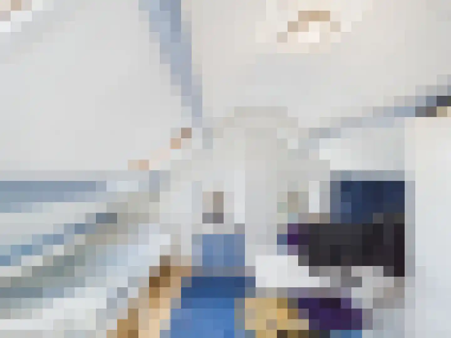 Johannes Vermeerstraat 10 Terneuzen thumbnail 31