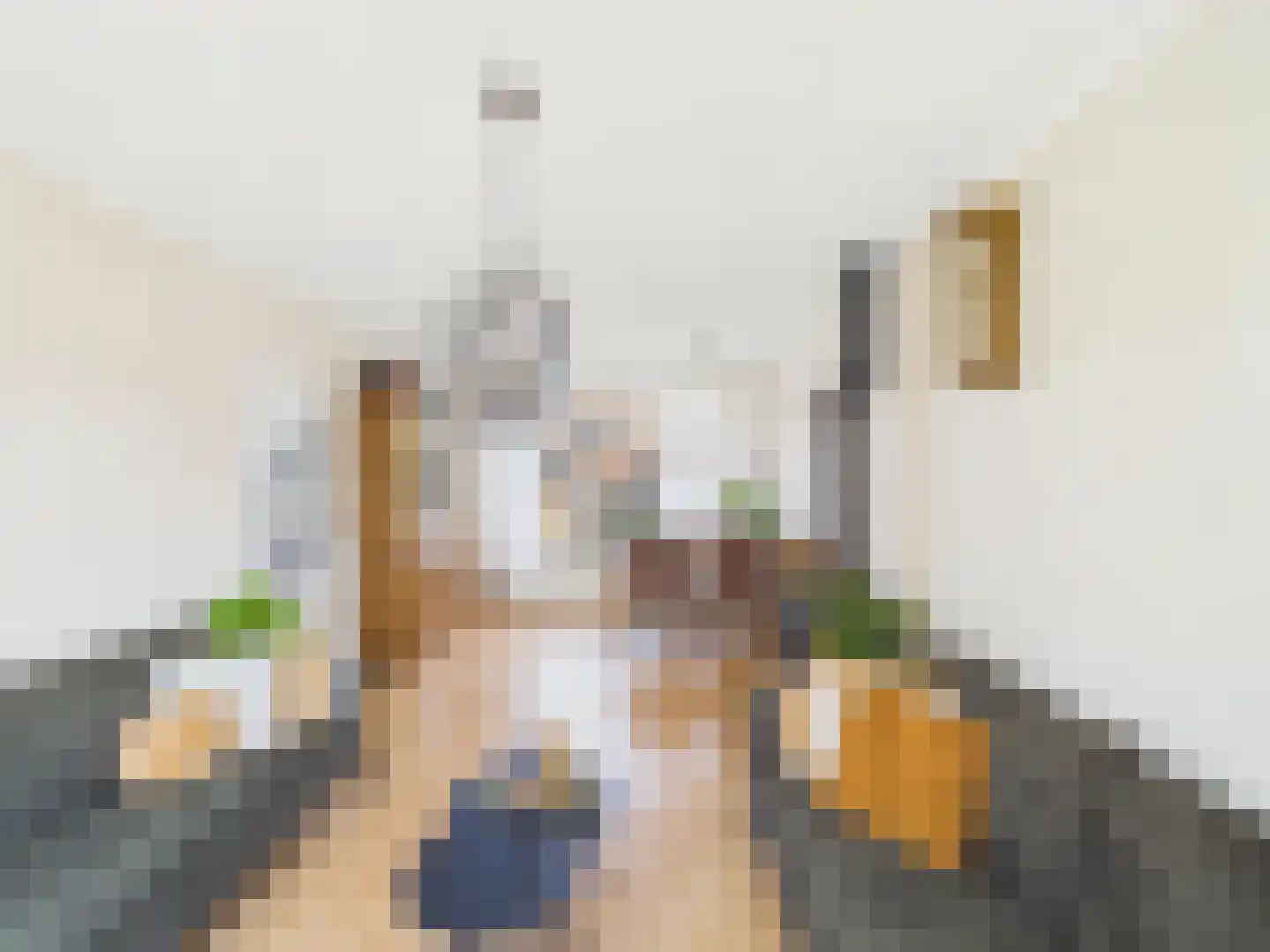 Johannes Vermeerstraat 10 Terneuzen thumbnail 6