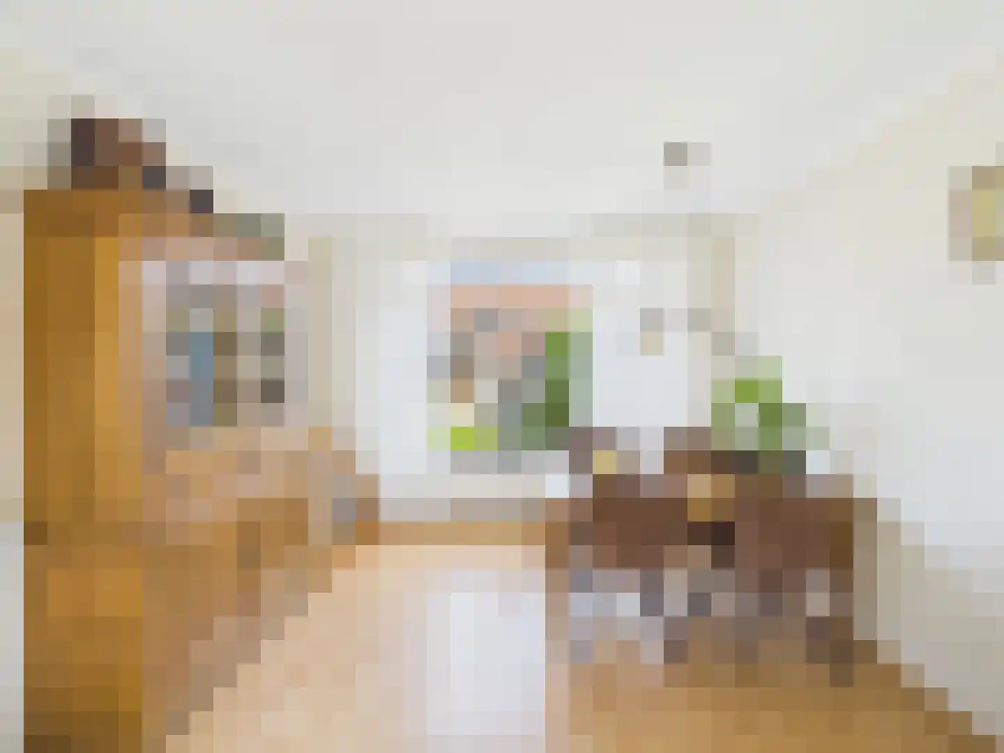 Johannes Vermeerstraat 10 Terneuzen thumbnail 8