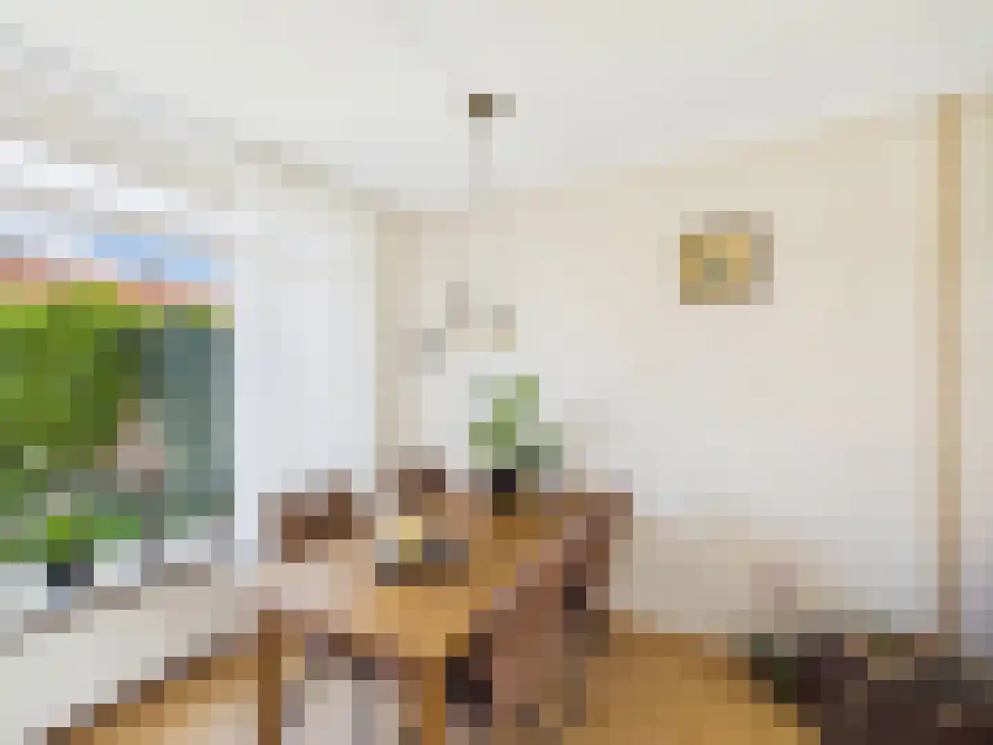 Johannes Vermeerstraat 10 Terneuzen thumbnail 9
