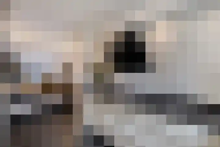 Johannes Vermeerstraat 11 Almere thumbnail 9