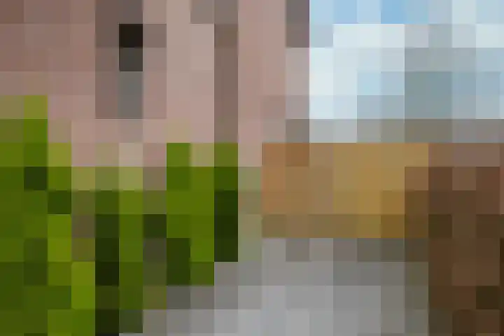 Johannes Vermeerstraat 11 Brunssum thumbnail 27