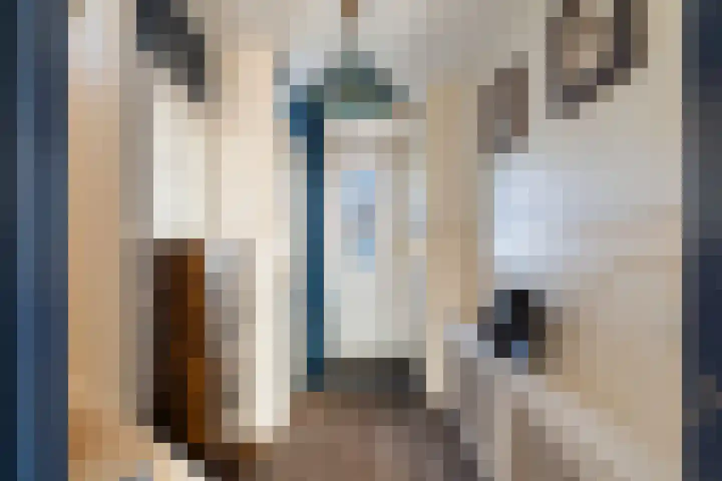 Johannes Vermeerstraat 11 Monster thumbnail 10