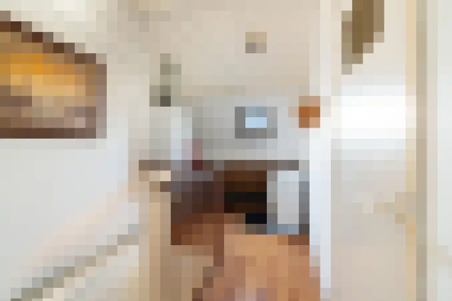 Johannes Vermeerstraat 11 Monster thumbnail 35