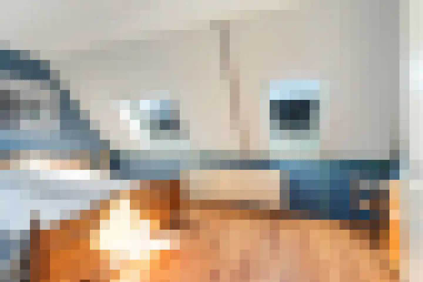 Johannes Vermeerstraat 11 Monster thumbnail 37