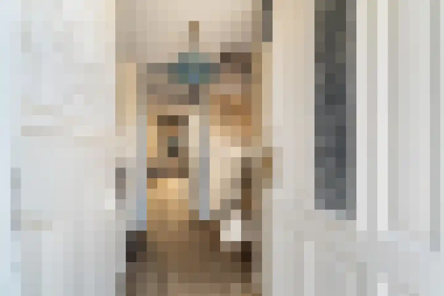 Johannes Vermeerstraat 11 Monster thumbnail 8