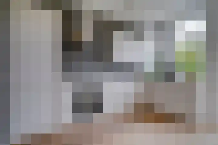Johannes Vermeerstraat 11 Utrecht thumbnail 15