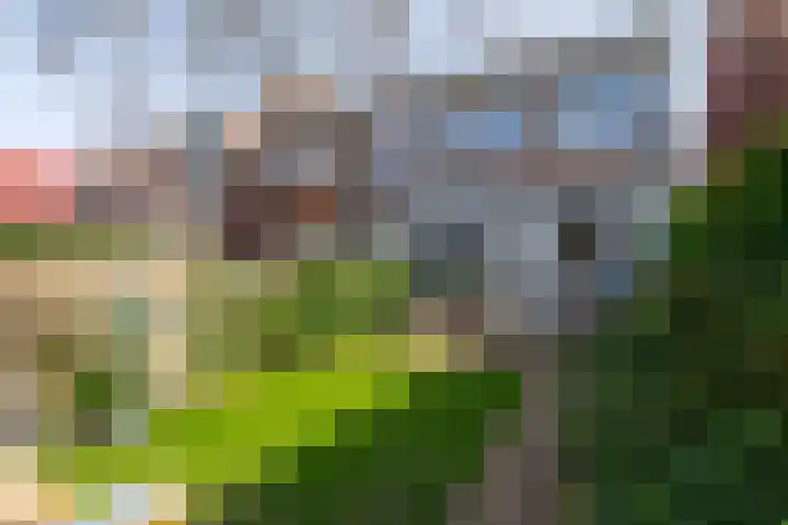 Johannes Vermeerstraat 11 Utrecht thumbnail 21