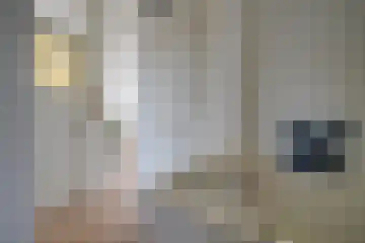 Johannes Vermeerstraat 11 Utrecht thumbnail 23