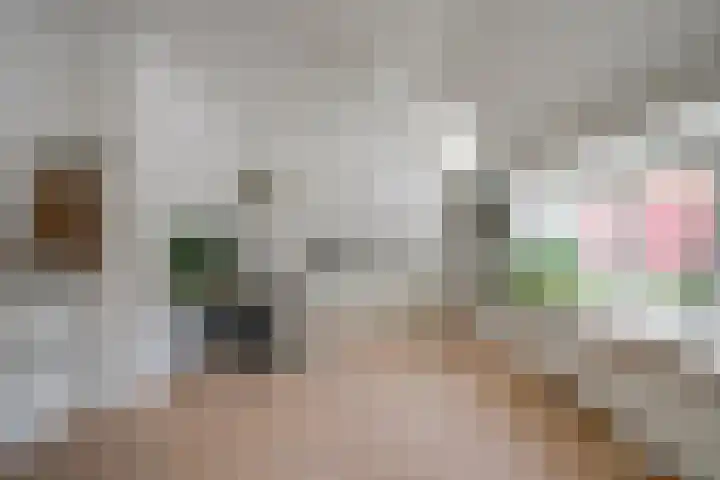 Johannes Vermeerstraat 11 Utrecht thumbnail 25