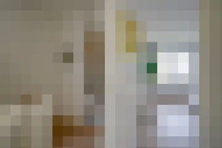 Johannes Vermeerstraat 11 Utrecht thumbnail 28