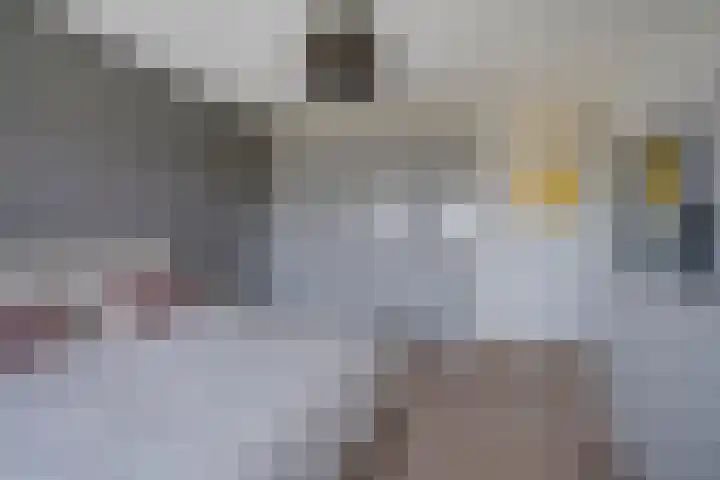 Johannes Vermeerstraat 11 Utrecht thumbnail 31
