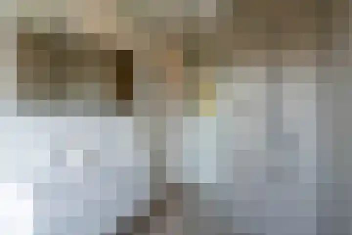 Johannes Vermeerstraat 11 Utrecht thumbnail 5