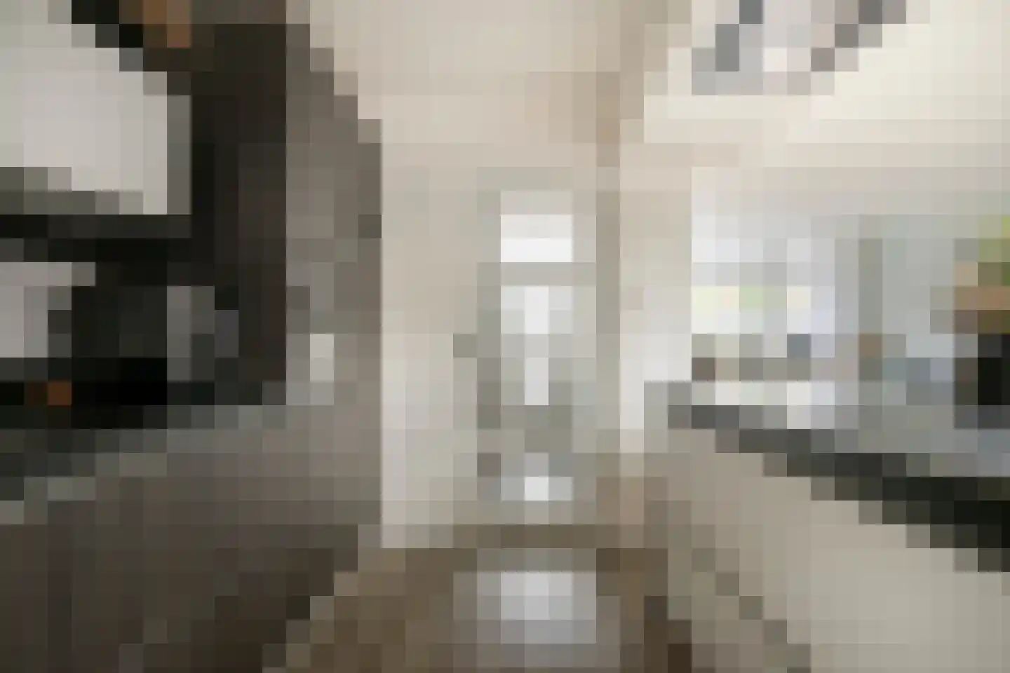 Johannes Vermeerstraat 12 Bunschoten-Spakenburg thumbnail 13