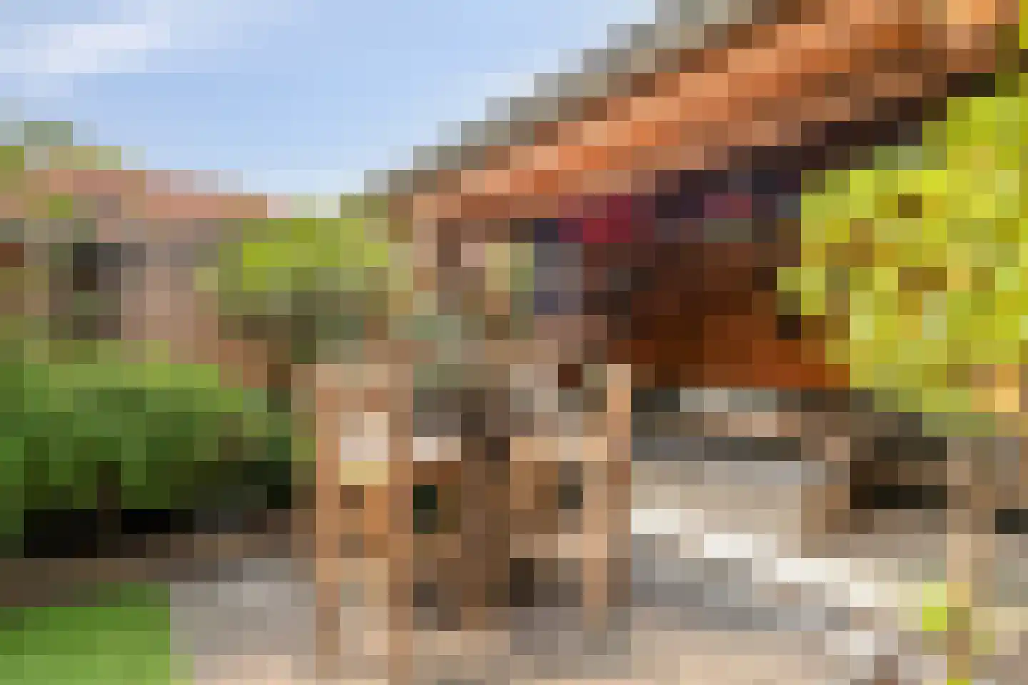 Johannes Vermeerstraat 12 Bunschoten-Spakenburg thumbnail 28