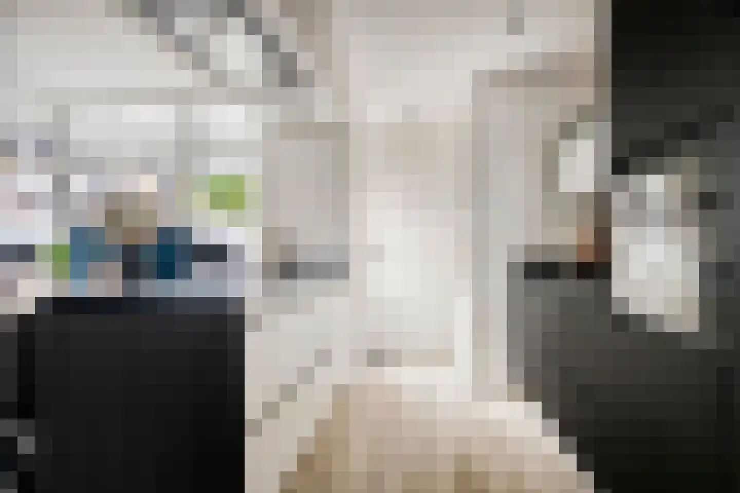 Johannes Vermeerstraat 12 Bunschoten-Spakenburg thumbnail 4