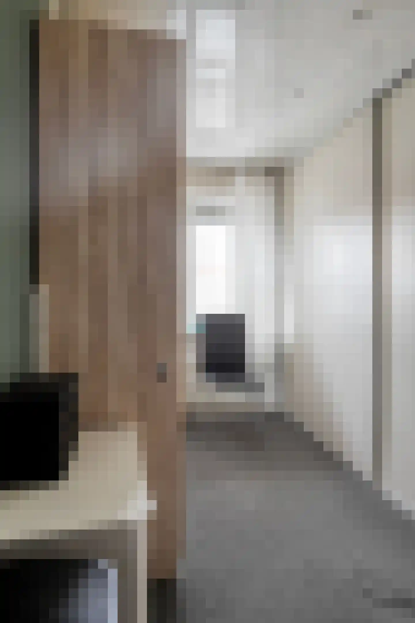 Johannes Vermeerstraat 12 Terneuzen thumbnail 11