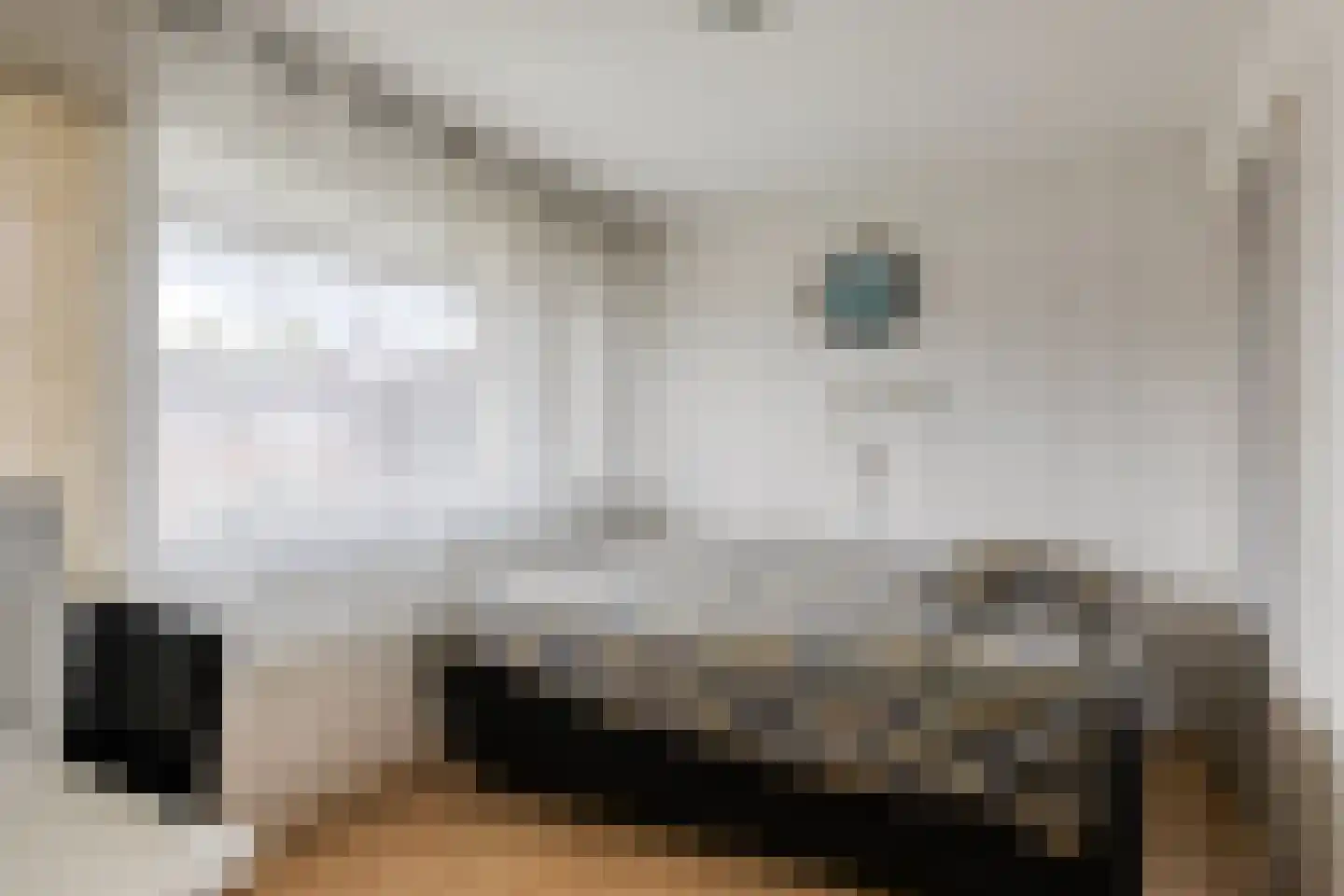 Johannes Vermeerstraat 12 Terneuzen thumbnail 12