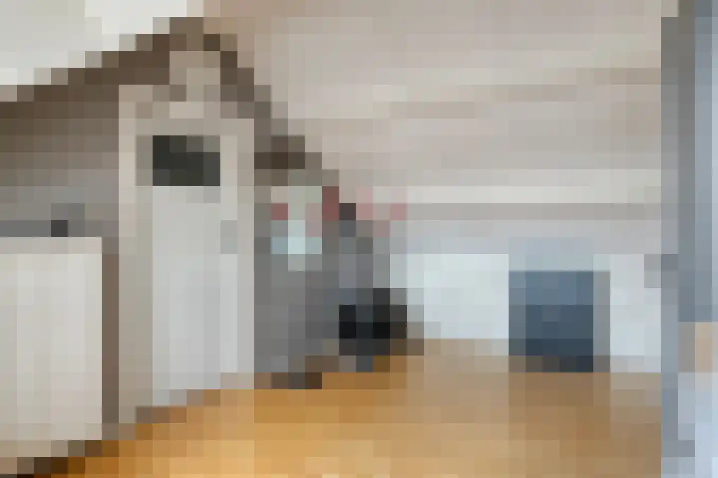 Johannes Vermeerstraat 12 Terneuzen thumbnail 17