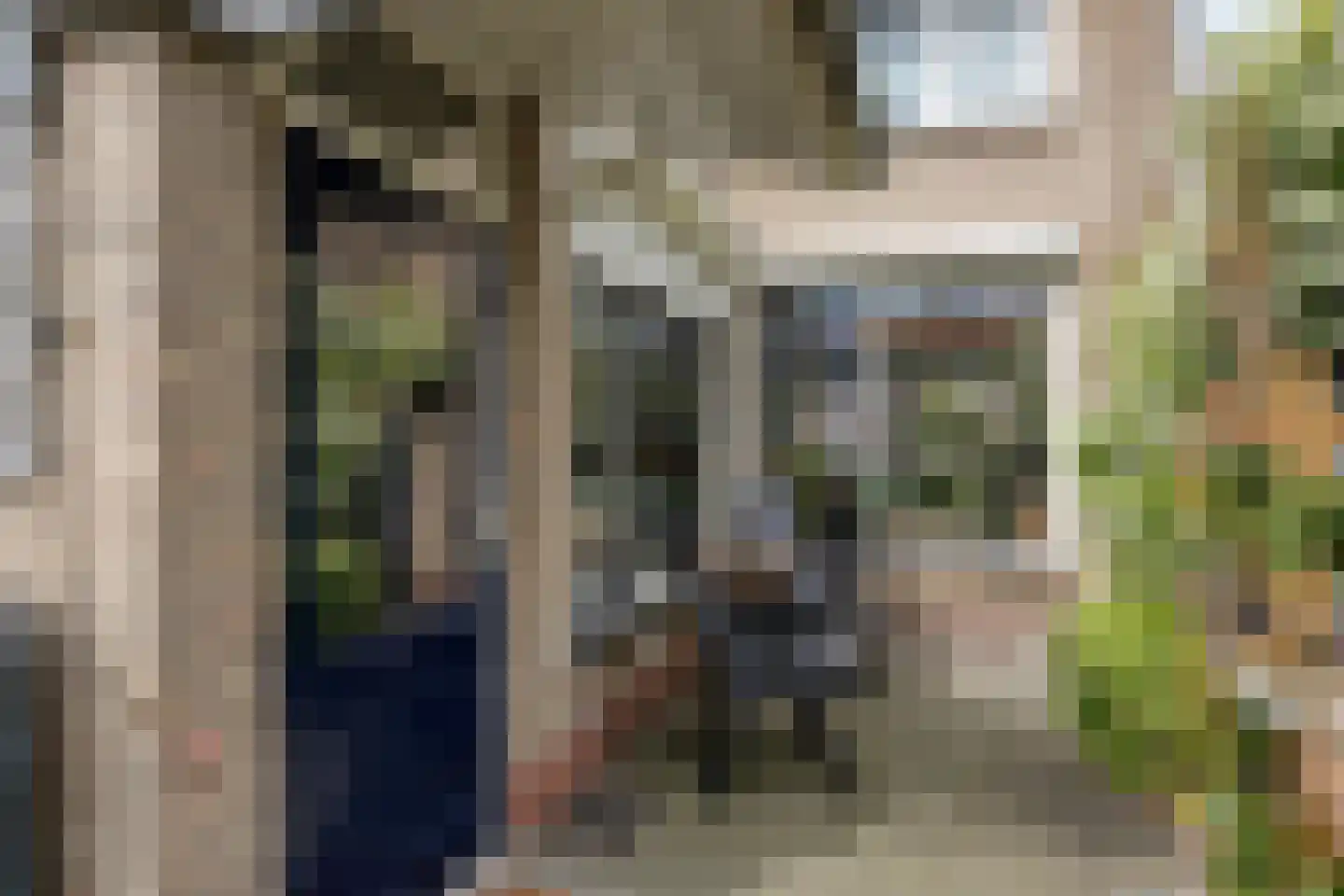 Johannes Vermeerstraat 12 Terneuzen thumbnail 19