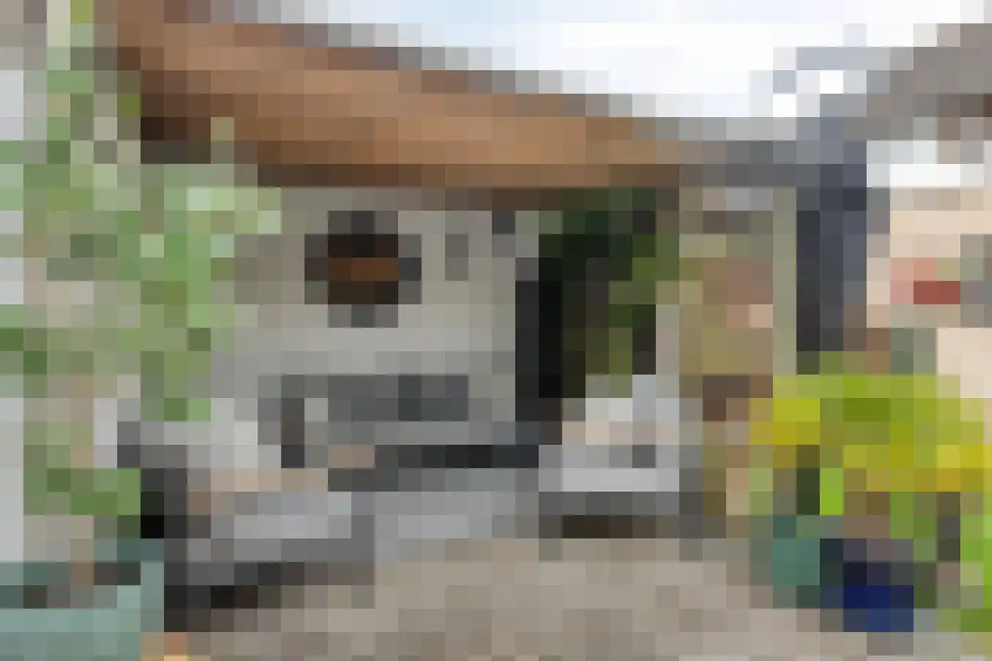 Johannes Vermeerstraat 12 Terneuzen thumbnail 20