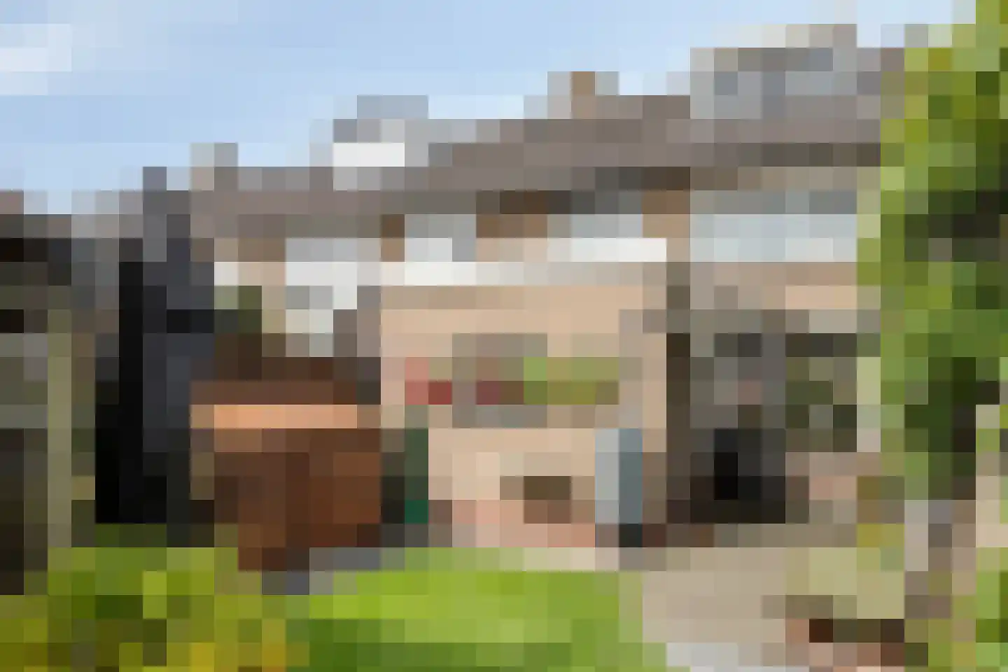 Johannes Vermeerstraat 12 Terneuzen thumbnail 22