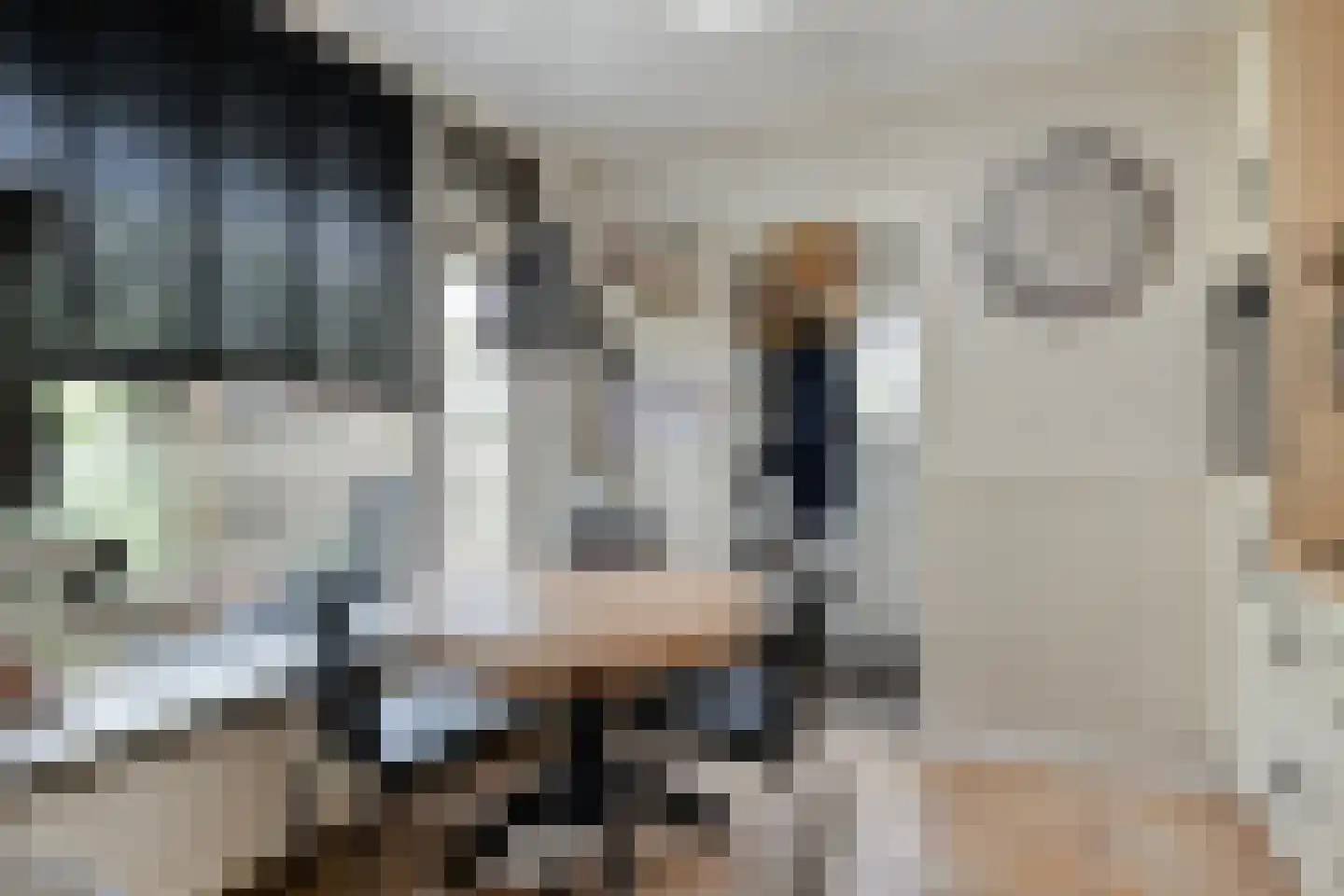 Johannes Vermeerstraat 12 Terneuzen thumbnail 7