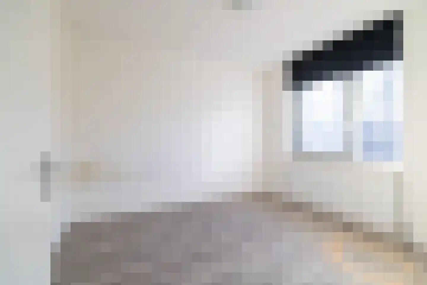 Johannes Vermeerstraat 13 Hengelo thumbnail 20