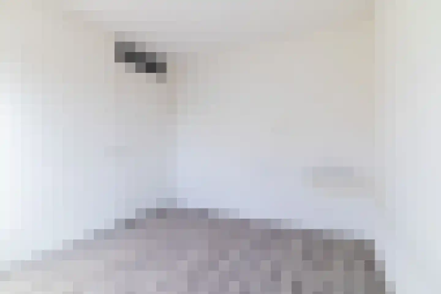 Johannes Vermeerstraat 13 Hengelo thumbnail 22