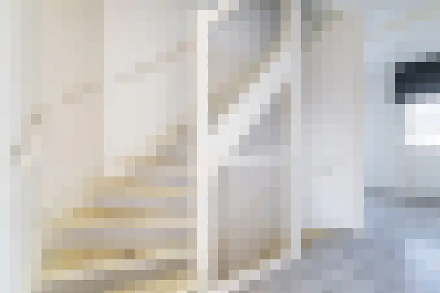 Johannes Vermeerstraat 13 Hengelo thumbnail 26
