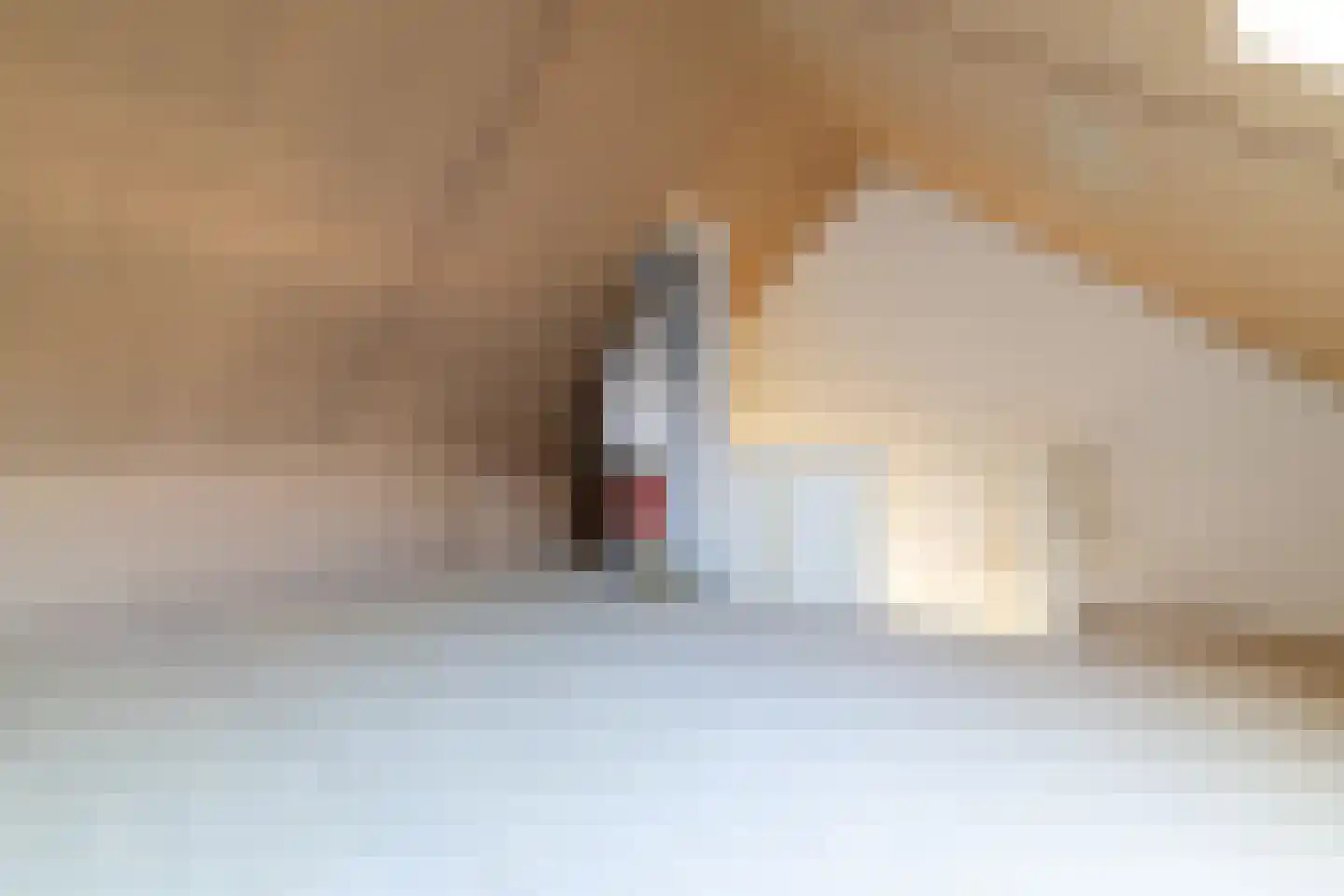 Johannes Vermeerstraat 13 Hengelo thumbnail 27