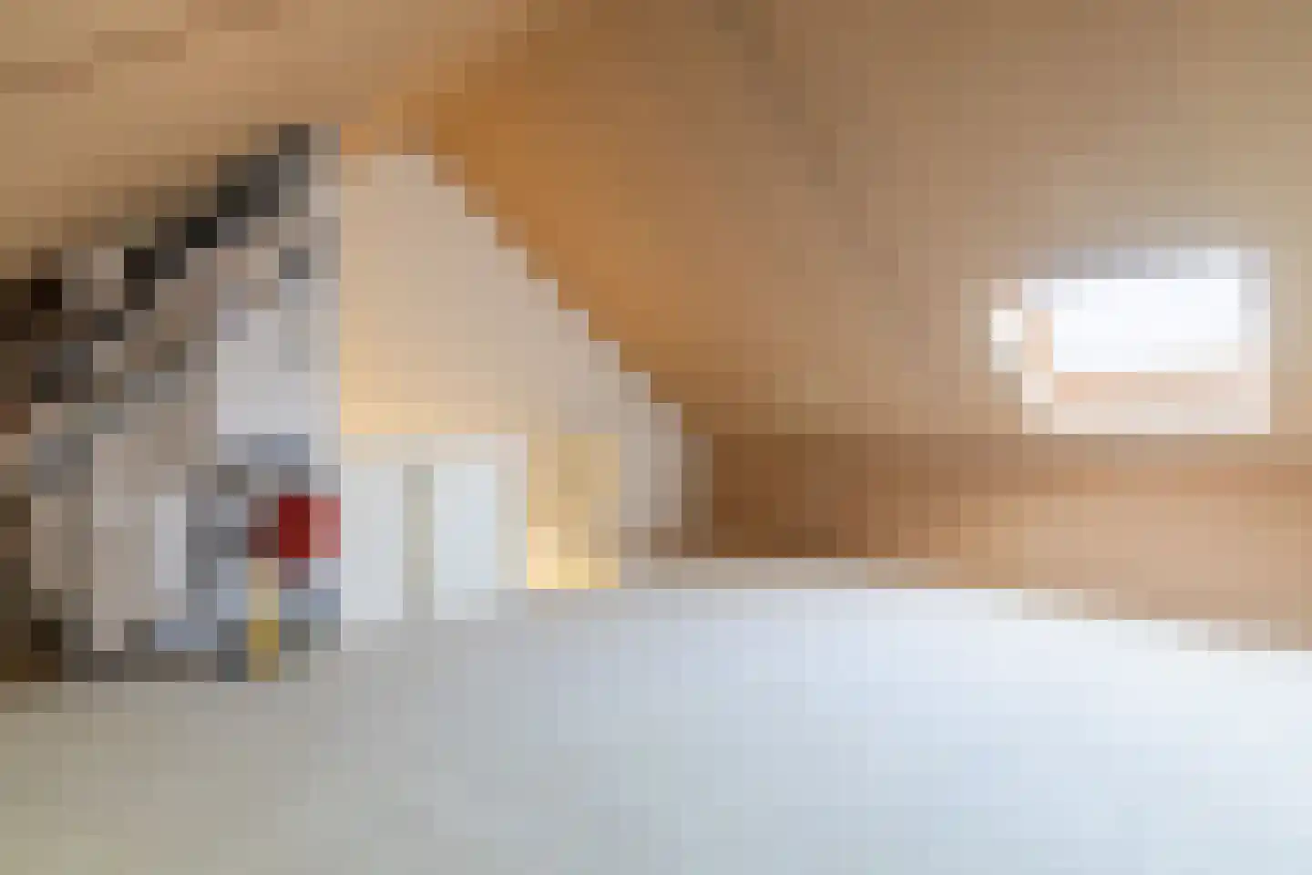 Johannes Vermeerstraat 13 Hengelo thumbnail 28
