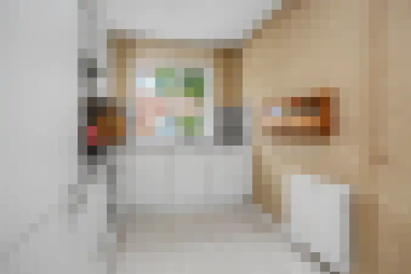 Johannes Vermeerstraat 13 Maarssen thumbnail 10