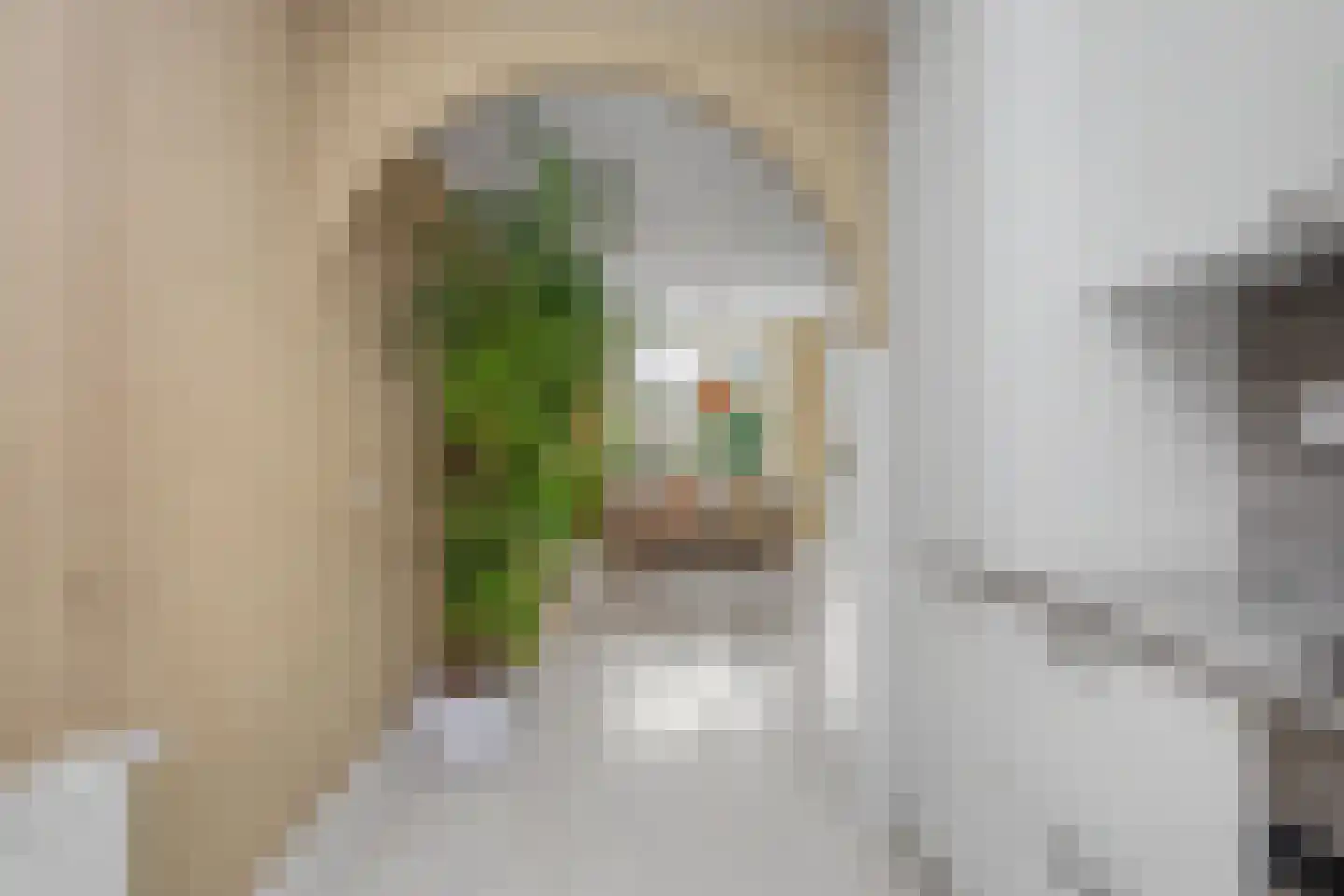 Johannes Vermeerstraat 13 Maarssen thumbnail 13