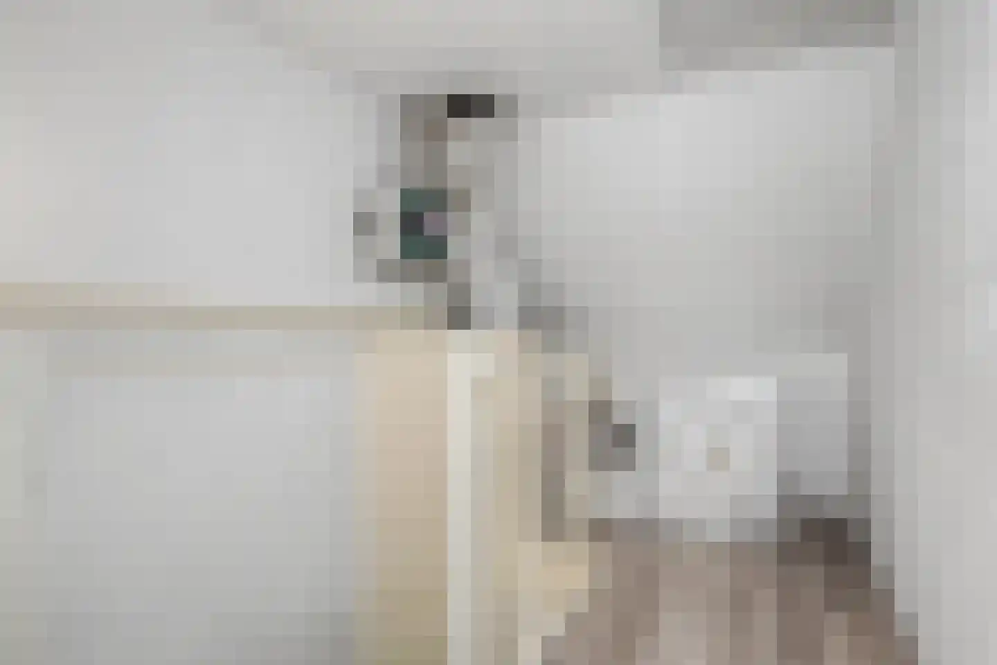Johannes Vermeerstraat 13 Maarssen thumbnail 34